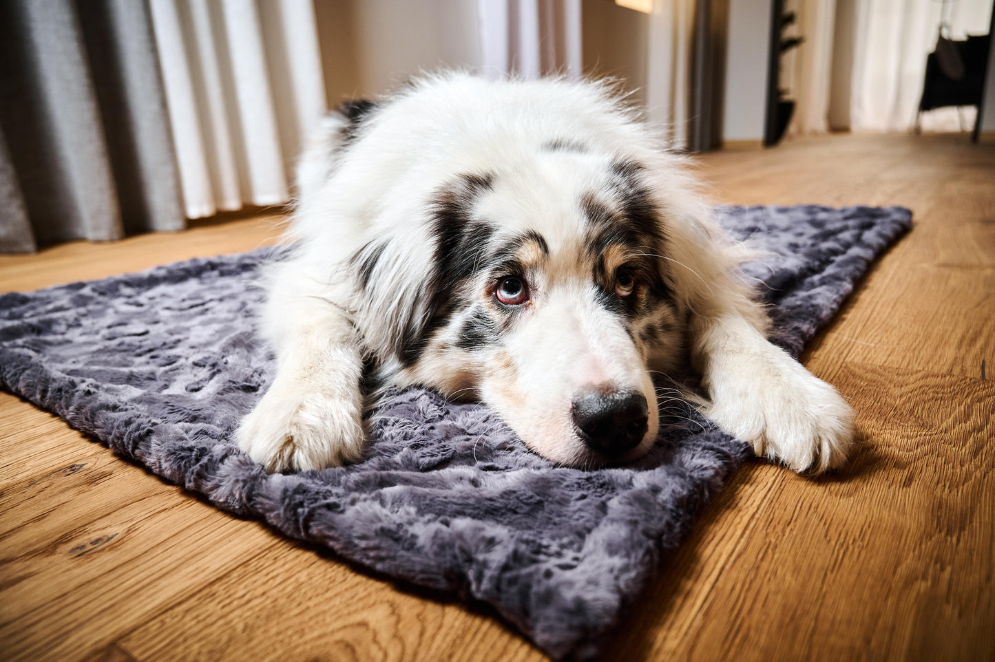 Decke COZY - Edle Webpelz-Decke - LABONI