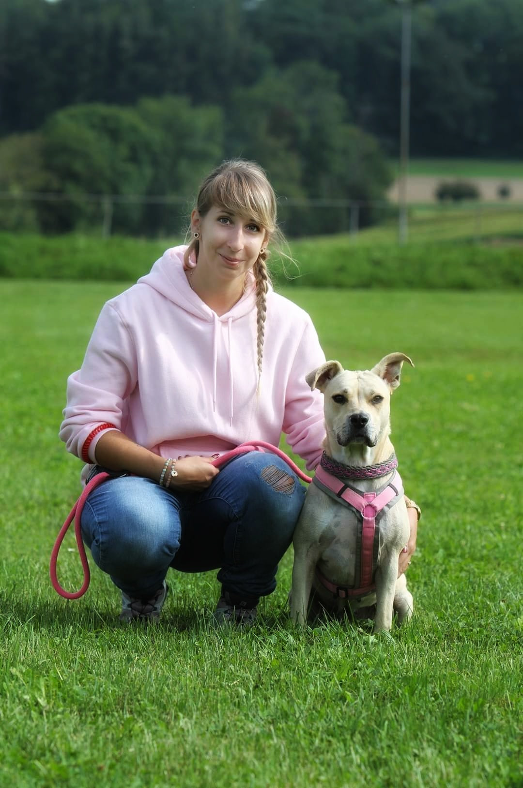 Ein Listenhund aus dem Tierschutz