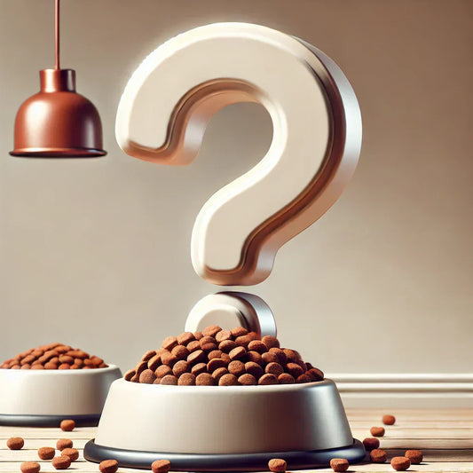 Fertigfutter für Hunde – Was steckt wirklich drin?