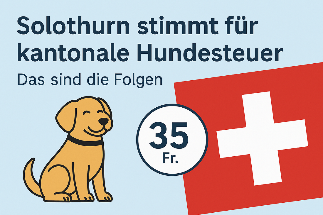Solothurn stimmt für kantonale Hundesteuer – Das sind die Folgen