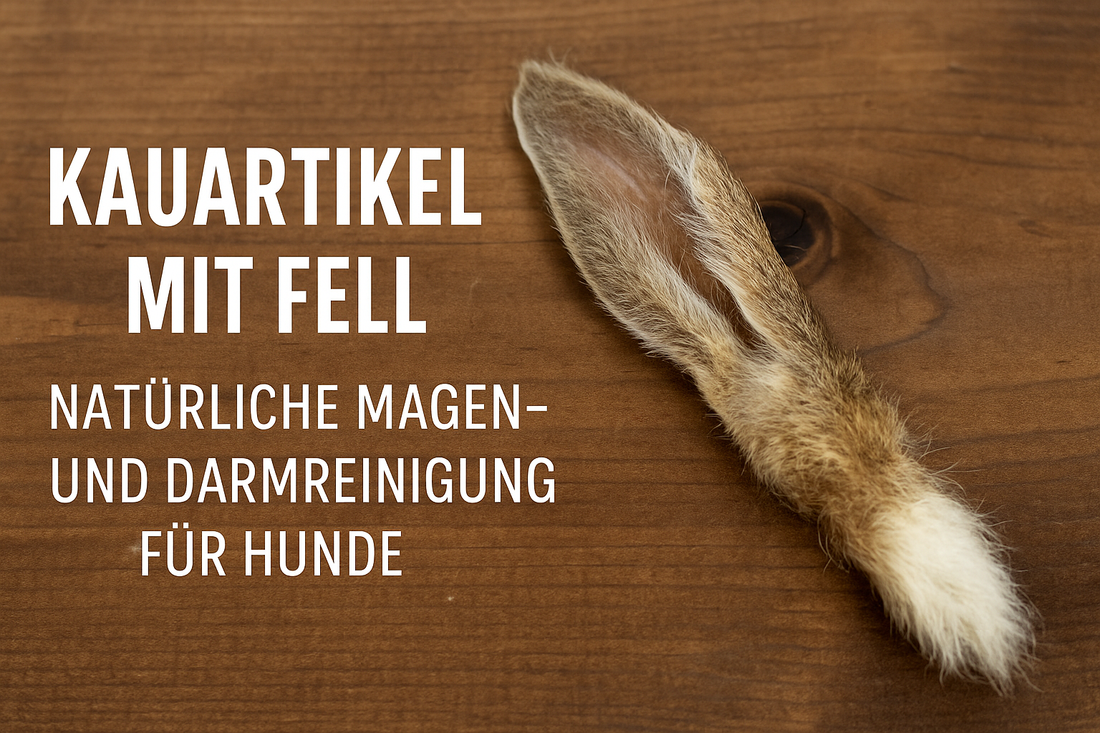 Kauartikel mit Fell – Natürliche Magen- und Darmreinigung für Hunde