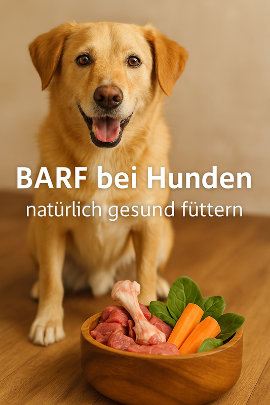 BARF bei Hunden – Was es ist, Vorteile, Nachteile und Mythen