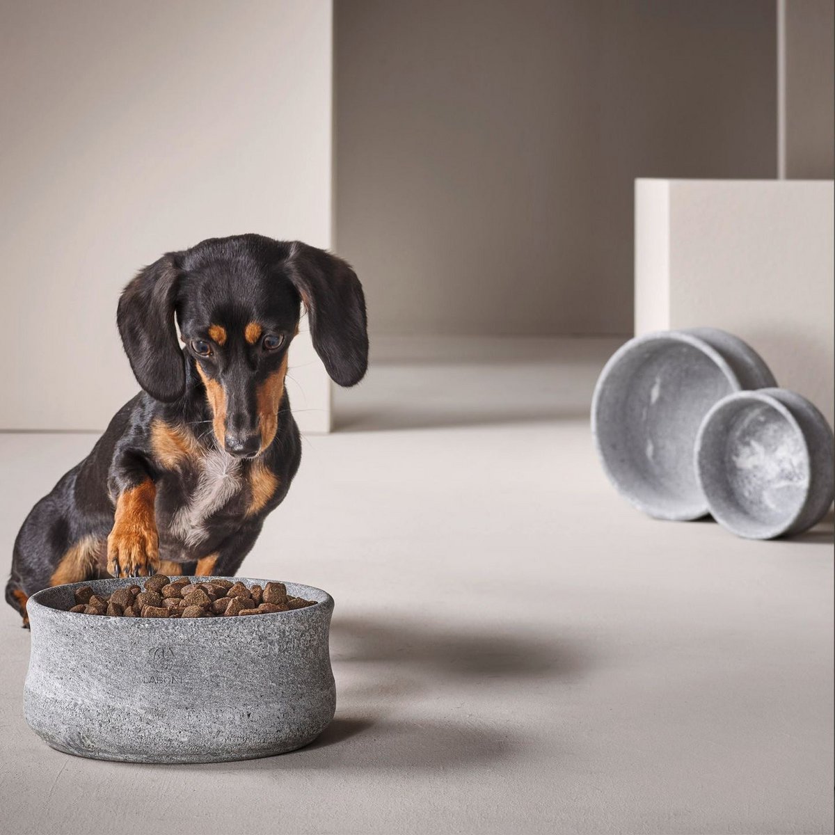 ROCKY - Edel-Napf für Hund und Katze (Selbstkühlend)